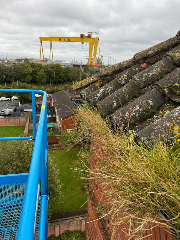 Commercial gutter clearing