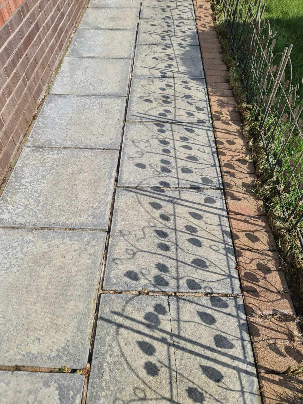 Path after cleaning