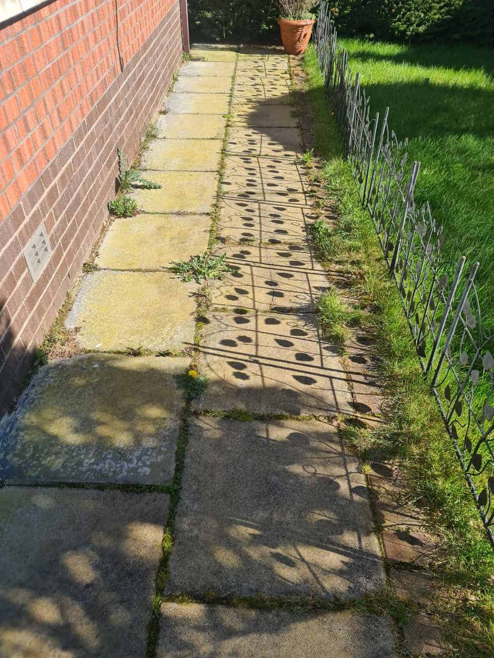 Path before cleaning