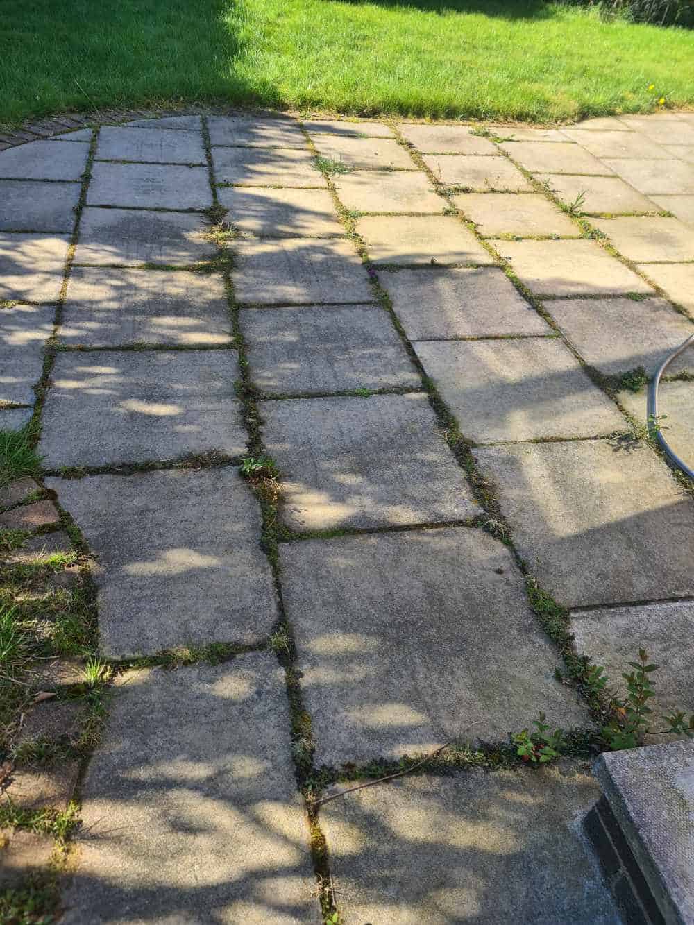 Driveway before cleaning